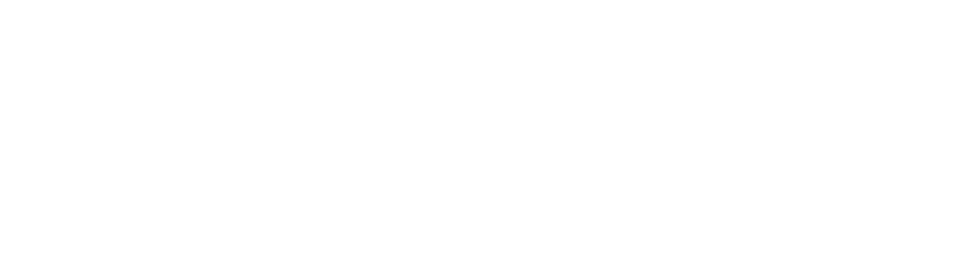 ES_Financiado_por_la_Unión_Europea_RGB_WHITE